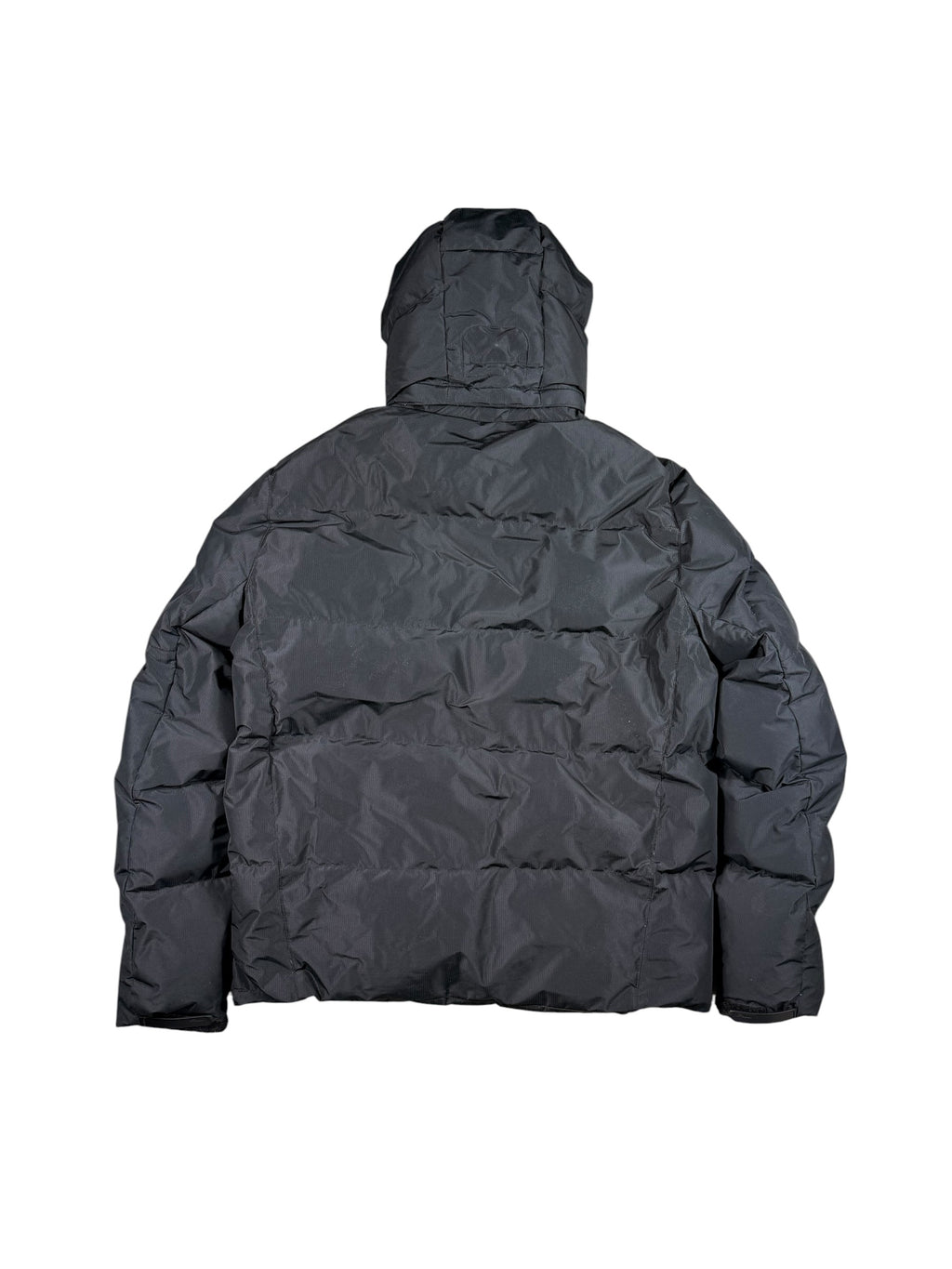 Ralph Lauren Big Pony Jacket (L)
