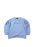 Champion Sweater (L)